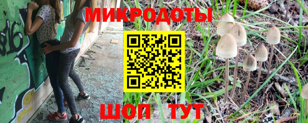Псилоцибиновые грибы Psilocybine cubensis Тулун